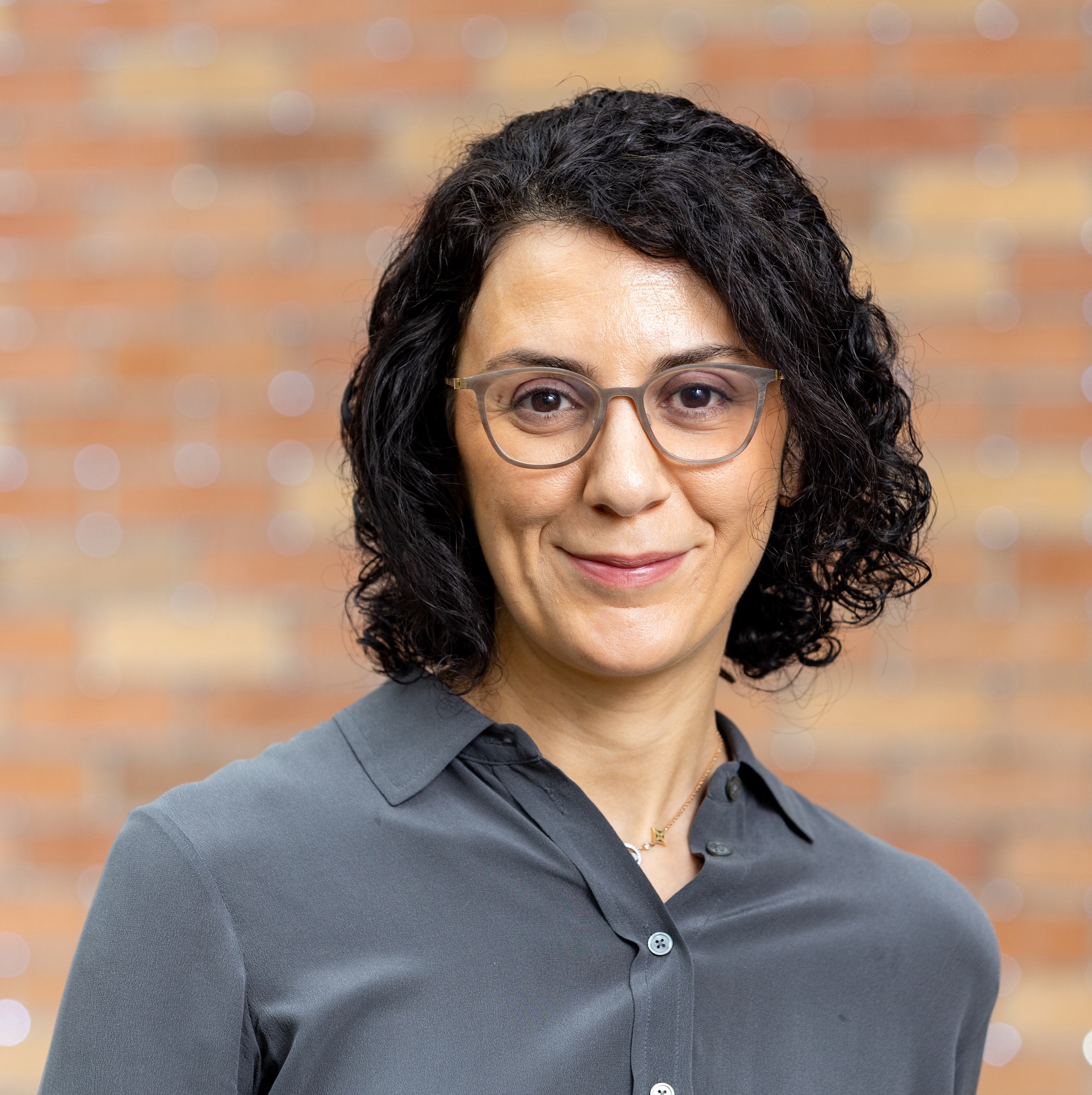 Hannaneh Hajishirzi